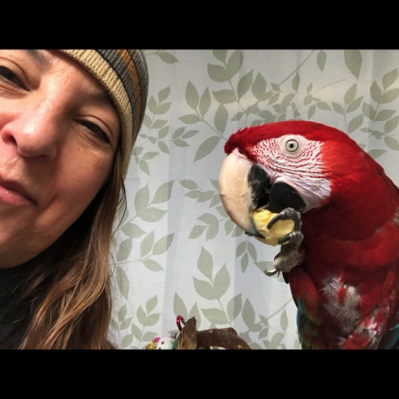 Hooty & Capt Nemo; rescued friends extraordinaire! - Picture 5 of 14